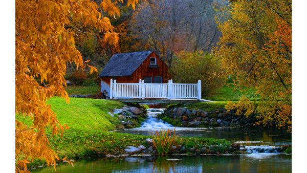 Дом на природе