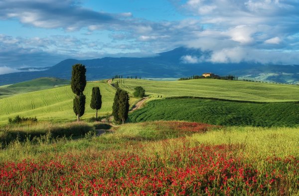 Тоскана Весна Италия