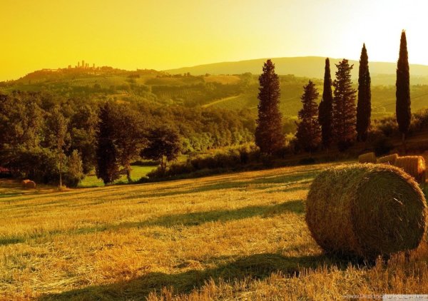 Тоскана Италия