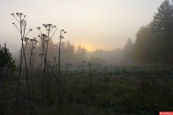 Эстетика серого природа