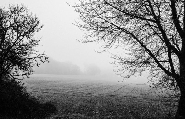 Монохромный пейзаж