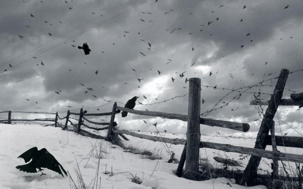 Депрессивные пейзажи