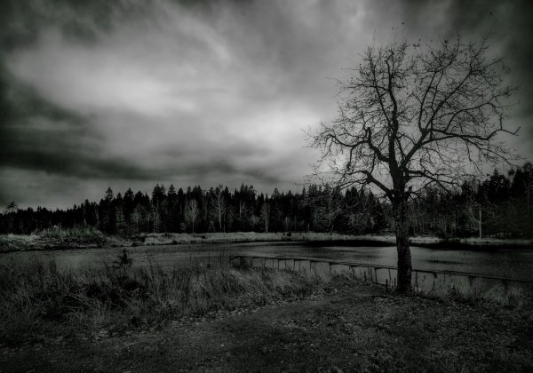 Депрессивный ландшафт