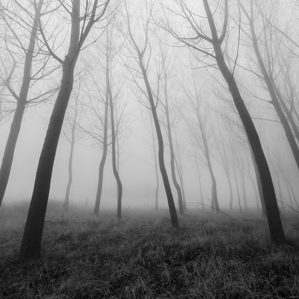 Мрачный фон