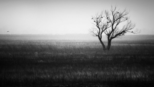 Мрачный Минимализм