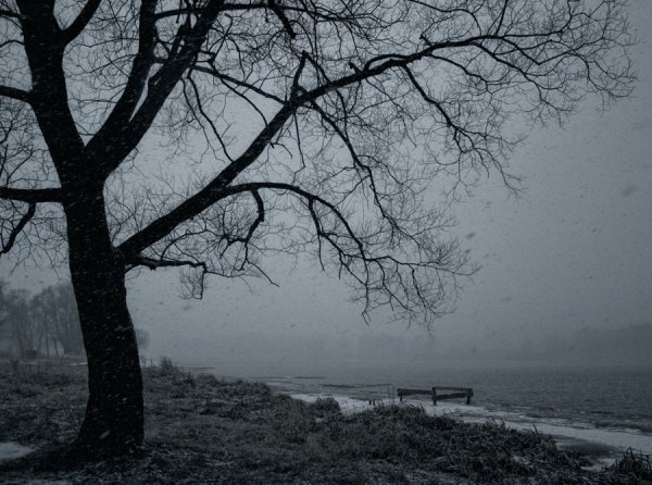 Печальный пейзаж