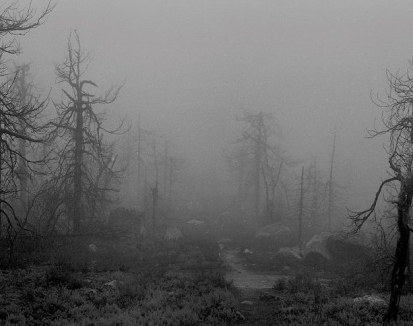 Suicidal depressive atmospheric Black Metal