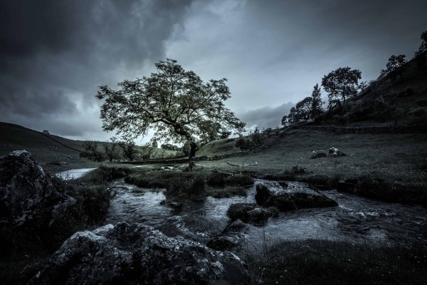 Серый пейзаж