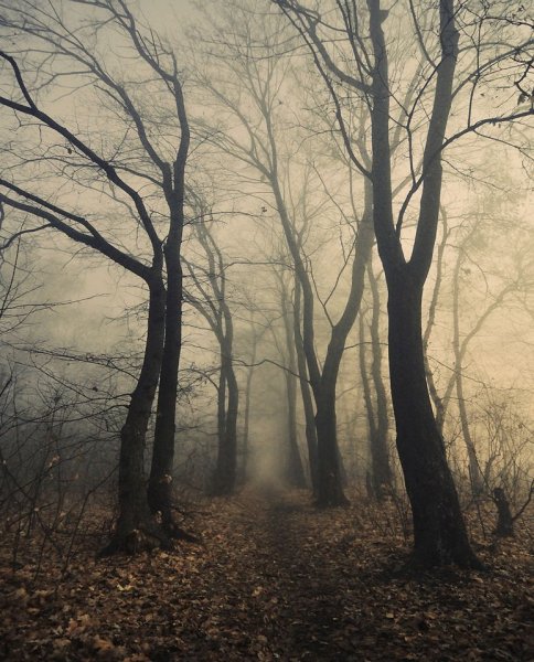 Мрачный пейзаж