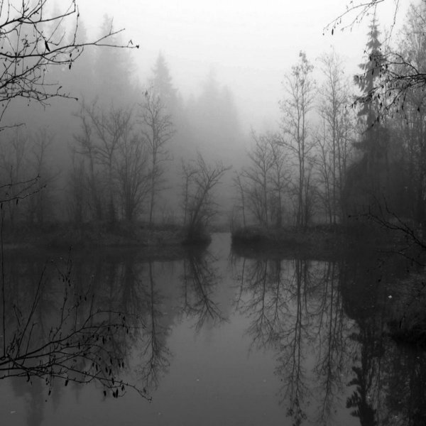 Депрессия лес