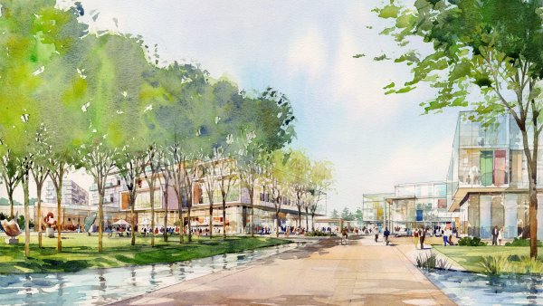 Дэвид парк акварель