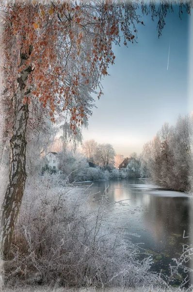 Зимняя природа