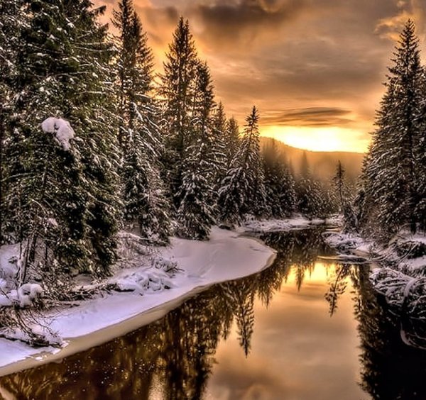 Зимний пейзаж вертикальный