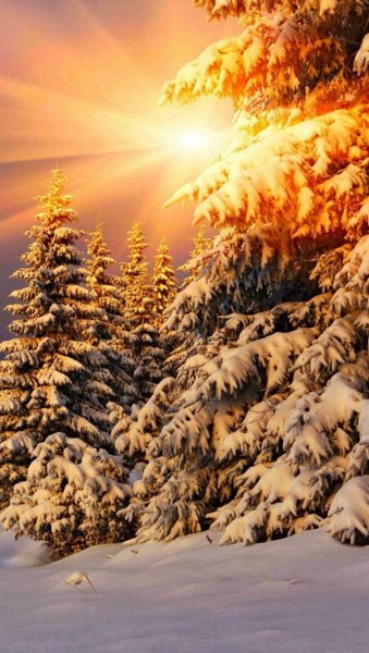 Закат зимой