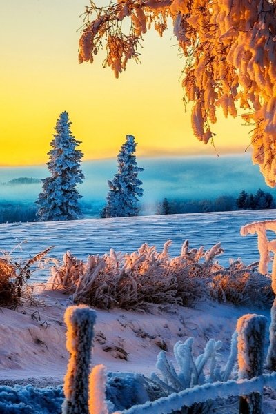 Красивая зима