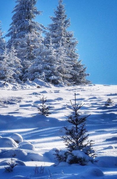 Природа зима