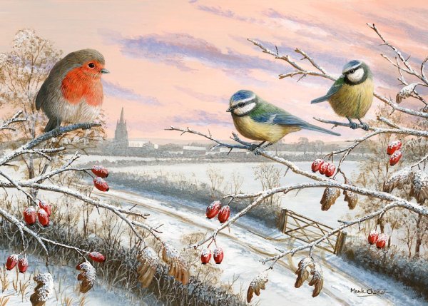 Зимний пейзаж с птицами