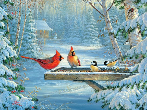 Художник Тимм Сэм (Timm Sam)