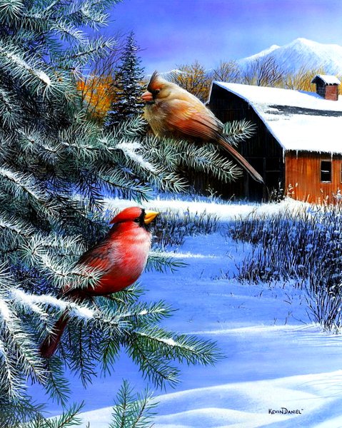 Кевин Даниэль картины птицы