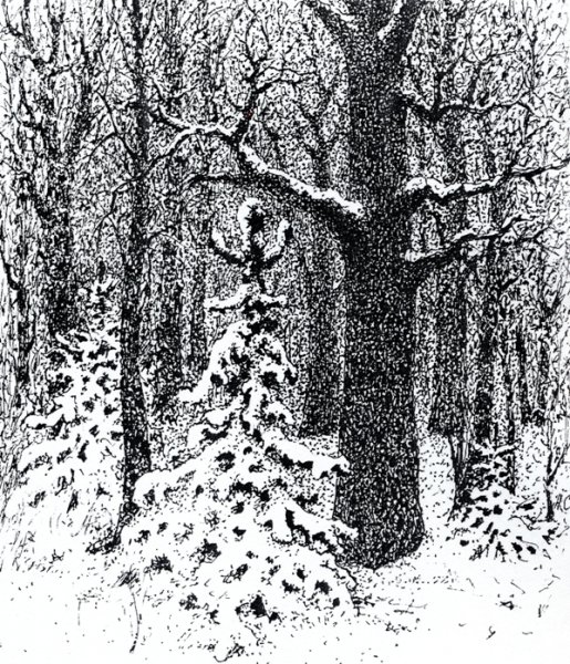 Гравюра. Линогравюра. Александр Шевченко. «Сосны и дюны»