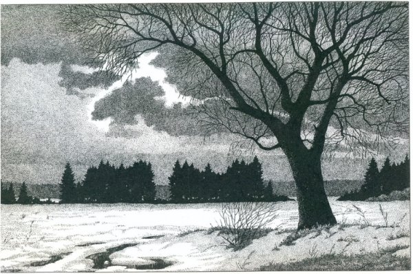 Лес черной ручкой