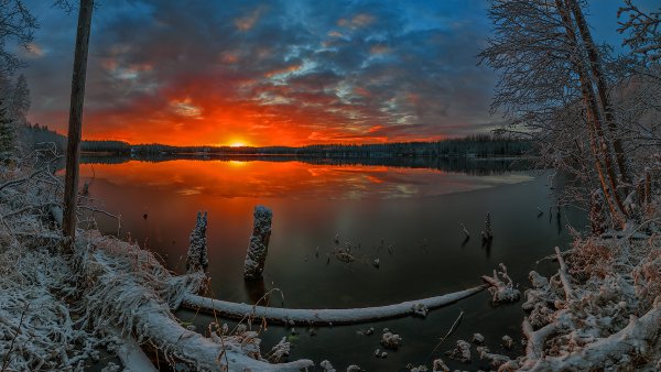 Красота зимы