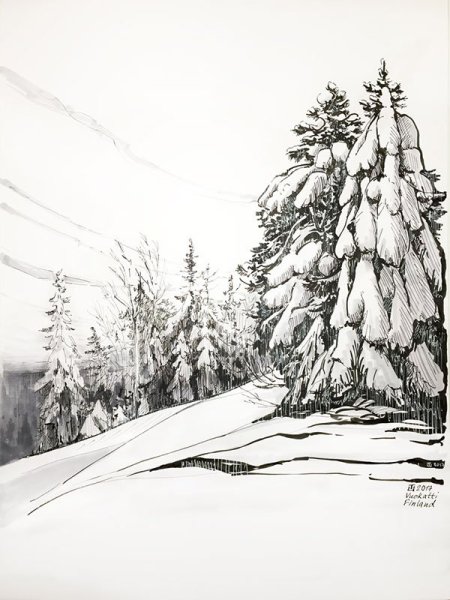 Пейзаж карандашом лес