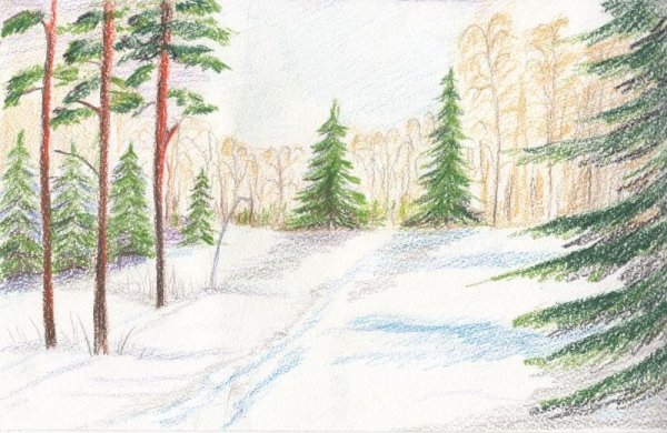Зимний лес рисунок карандашом