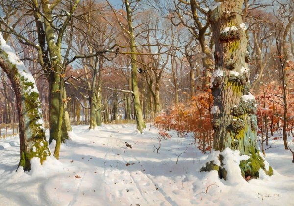 Педер Монстед