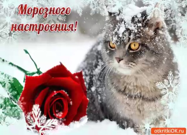 Доброе Снежное утро