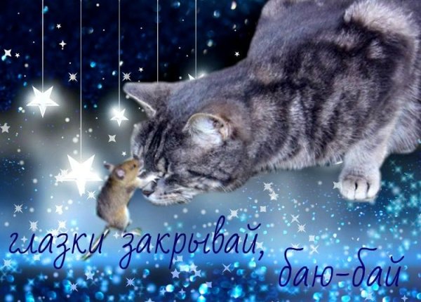 Спокойной ночи зайчик