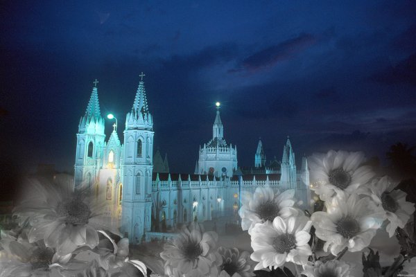 Спокойной ночи зима