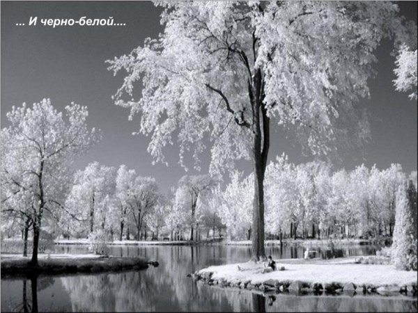Зимние картины черно белые