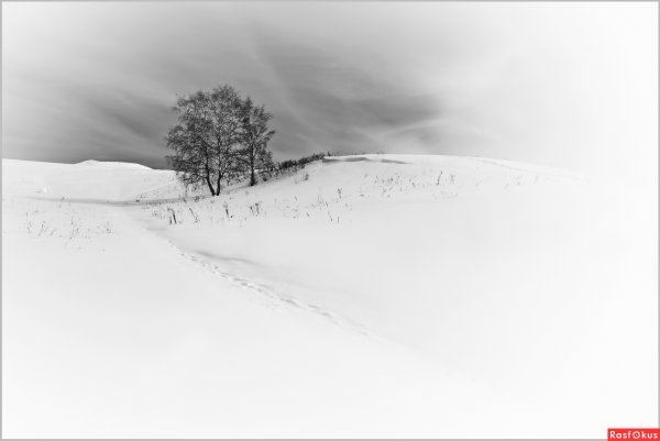 Белый пейзаж