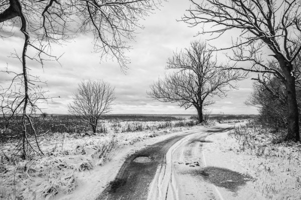 Чёрно белая зима