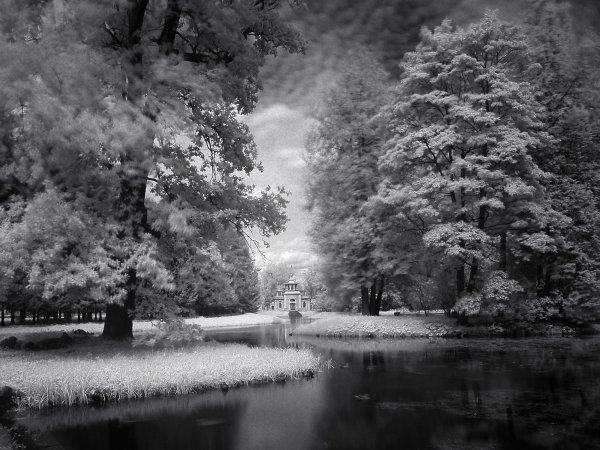 Белый пейзаж