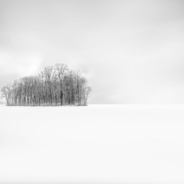 Белый пейзаж