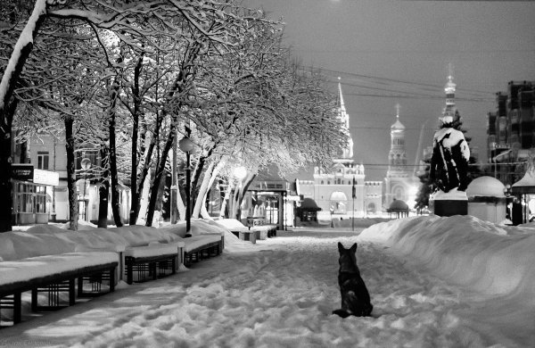 Бульвар Чавайна Йошкар-Ола зимой