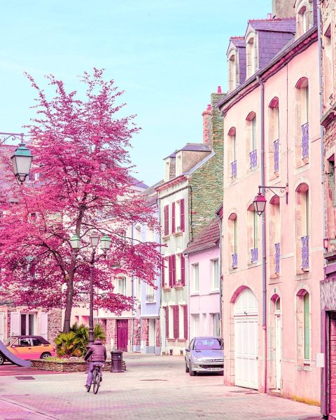 Розовая улица