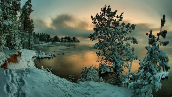 Вечерняя природа зимой