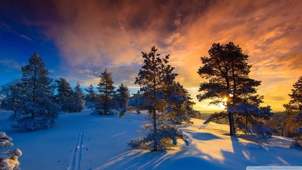 Зимний закат в городе