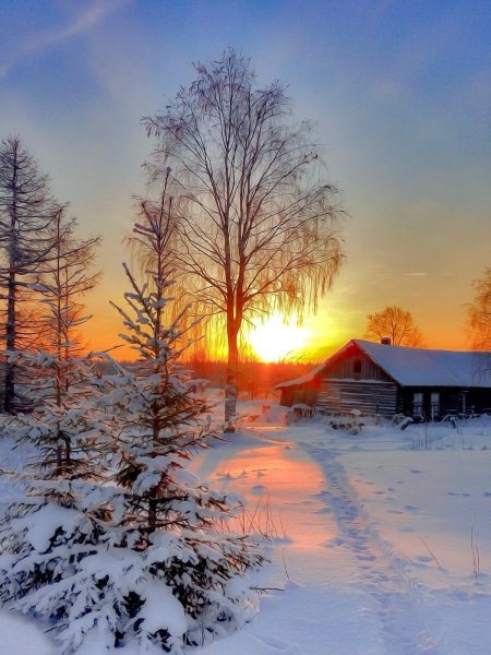 Зимний пейзаж анимация