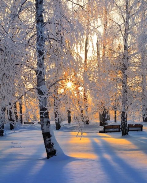 Тормосов Виктор Михайлович картины исторические