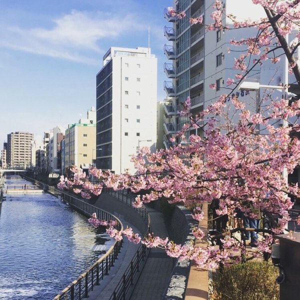 Улицы Южной Кореи Сеул Эстетика