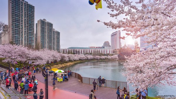 Корея дворец кёнбоккун природа