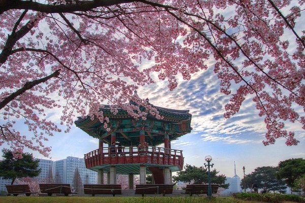 Улица в Сеуле Чхонгечхон