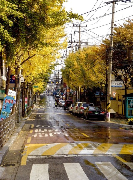 Миядзаки акварель