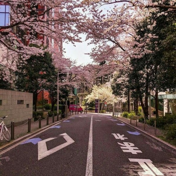 Южная Корея Эстетика