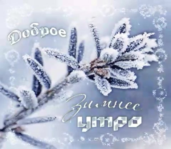 Хорошего солнечногозимннго дня