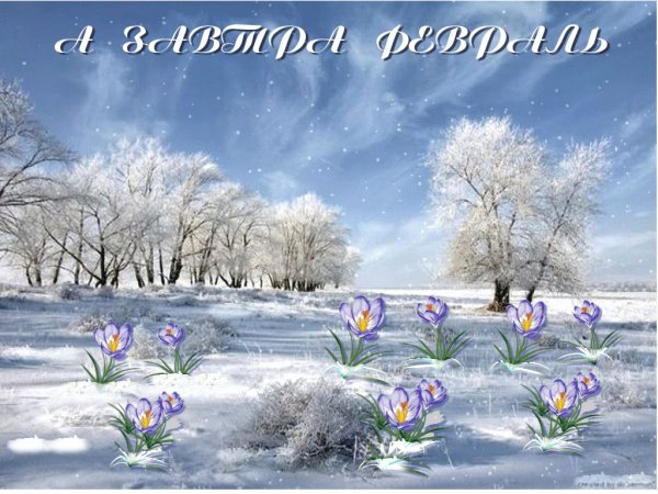 Поздравления с добрым утром зимой